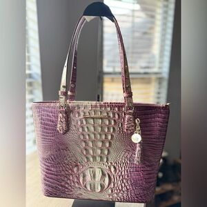 Brahmin Asher Tote - Unique Color!
